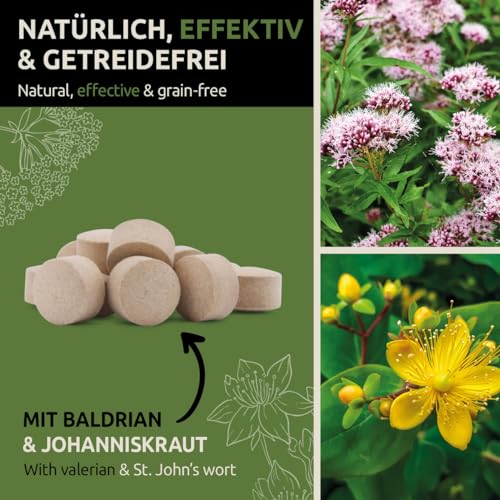GreenPet Relax Me 120 Tabs – Beruhigungsmittel für Hunde als Snacks mit Baldrian & Johanniskraut, bei Angst, Stress, Autofahrt & Reise – Zur natürlichen Beruhigung & Entspannung