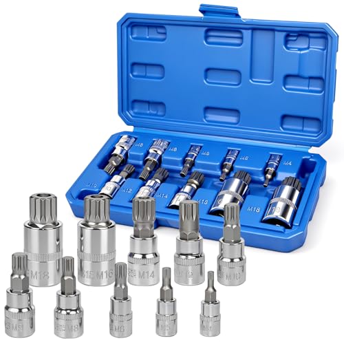 AFEPHE 10 PCs Vielzahn Nuss Satz 1/4 3/8 1/2 Steckschlüsselsatz M4 M5 M6 M8 M9 M10 M12 M14 M16 M18 aus CR-V