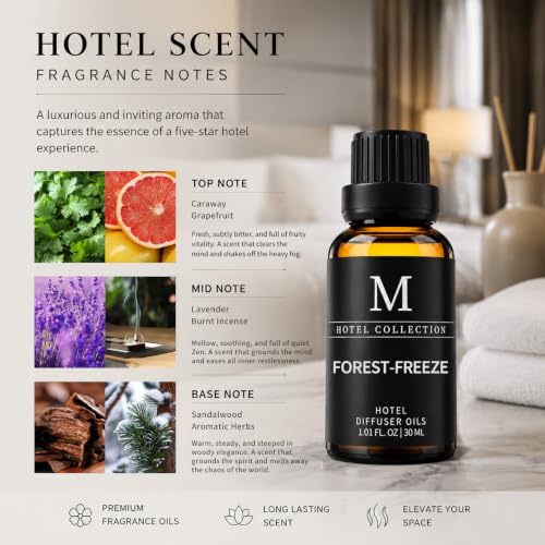 Aceites Esenciales para Difusor Forest Freeze 30ML miniatura 3