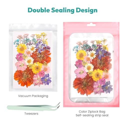Resiners UV Light & Resiners 174PCS Dried Pressed Flowers miniatura 4