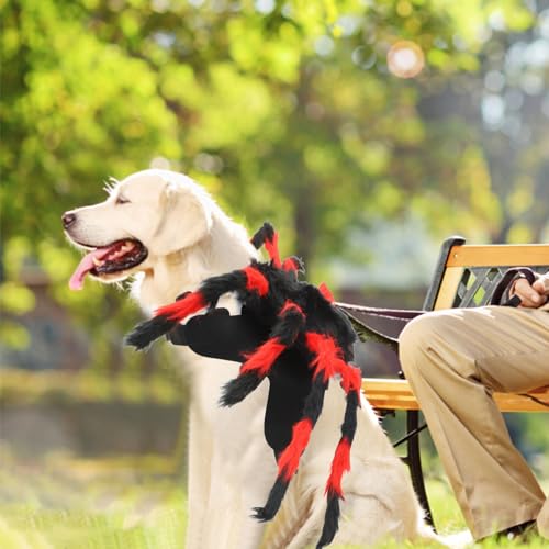 Disfraz de Araña para Perros y Gatos Pequeños miniatura 6