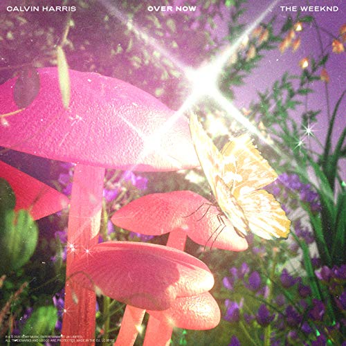 Calvin Harris & The Weeknd