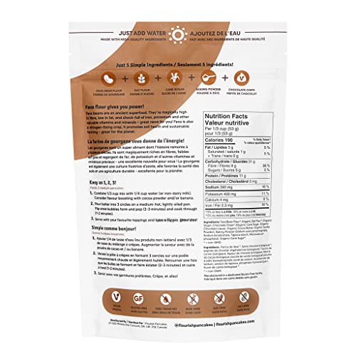 Flourish - Plant-Based Protein Pancake & Waffle Mix, Gluten-Free, Vegan, Non-Gmo, All-Natural Superfood, High Protein & Fiber, Just Add Water - Chocolate Chip, 16Oz #TOP1