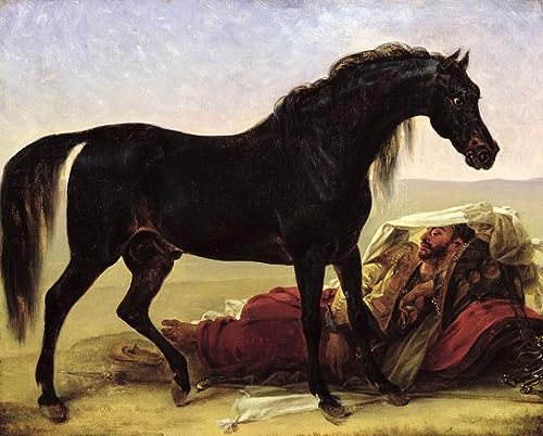 Tableau an Arabian animal Antoine Jean Gros impression sur toile décoration murale