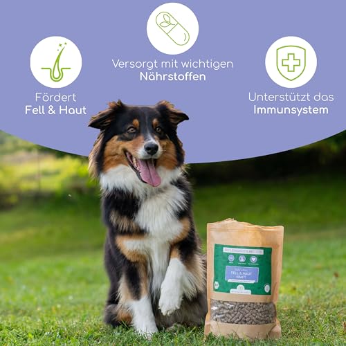 Bio Leinsamen Pellets – Fellwechsel Unterstützung für Hunde, Kaninchen und Pferde - Reich an Omega-3, Natürlich & Rein