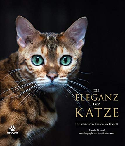 Welche Katzenrasse Ist Verschmust