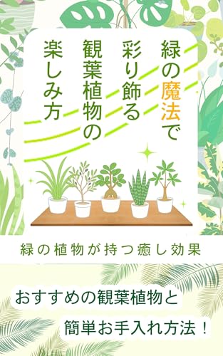 緑の魔法で彩り飾る観葉植物の楽しみ方