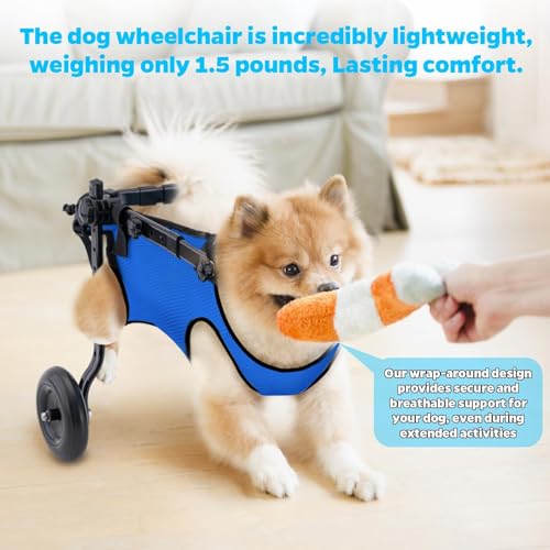 Fauteuil roulant pour chien réglable et pliable, idéal rééducation pattes arrière XS