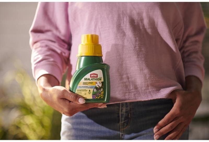Miniatura 4 de Ortho Concentrado en aerosol de insectos de malatión