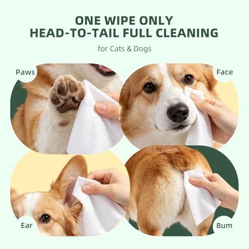 Image of IMMHABI 100 Count Dog Wipes for Paws and Butt Hypoallergenic Pets Cleansing & Deodorizing Hygienic Puppy Wipes for Dogs Face and Body Wipes Cleaning Fur Doggie Wipes Doggy Wipes (White Tea)