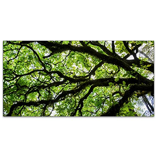 Image of Fluorescent Light Covers for Classroom Office - Eliminate Harsh Glare Causing Eyestrain and Headaches. School-Office-Indoor Ceiling Lamp DecorationGiant Trees