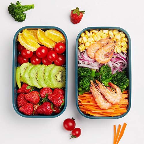 Bento Lunch Box - All-In-One Stackable Japanese Bento Box - Leakproof Eco-Friendly Meal Prep Containers For Men Women, Microwave And Dishwasher Safe,Easy Wash (Blue) #TOP4