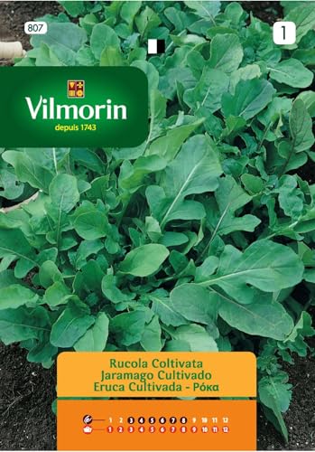 Semi Rucola Coltivata S1-807 10 Gr, Confezione 10 bustine.