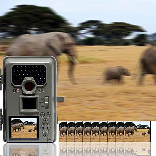 Wildkamera Fotofalle Jagdkamera Trail Wildlife Kamera Spielkameras HD Nachtsicht Jagd Kamera 12MP Digital Trail Kamera… – Bild 4