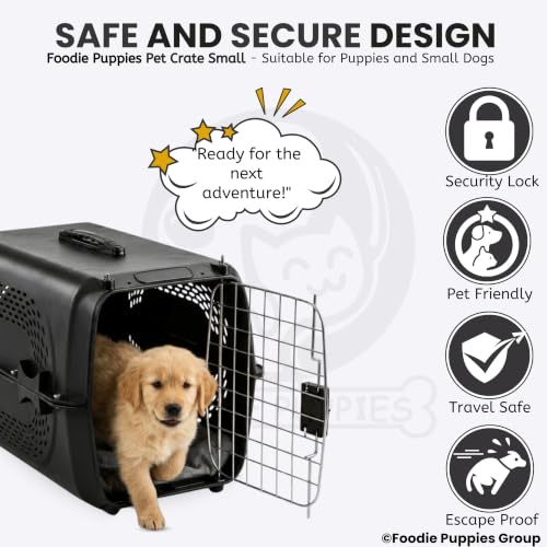 Image of Foodie Puppies Imported Plastic Pet Travel Carrier Cage (48.5 X 32 X 30 cm, Small) for Cats, Small Dogs, Puppies & Small Animals I Portable Transporter Box with Metal Door and Spring Lock