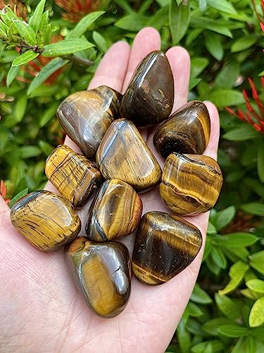 Image of 1 /2 LB Tiger Eye Tumbled Stones, Polished Natural Tiger Eye Gemstone, Tiger Eye Healing Crystals (Tiger Eye)
