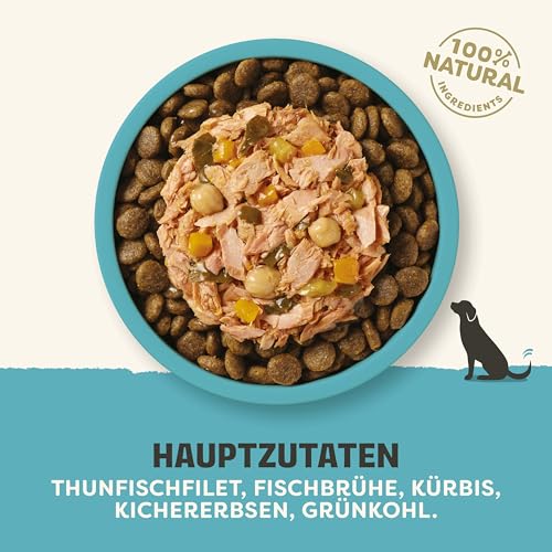 Applaws Premium Natural Nassfutter für Hunde, getreidefreier Fisch mit Gemüse in Brühe, Topping für Hunde 12 x 85g Packung