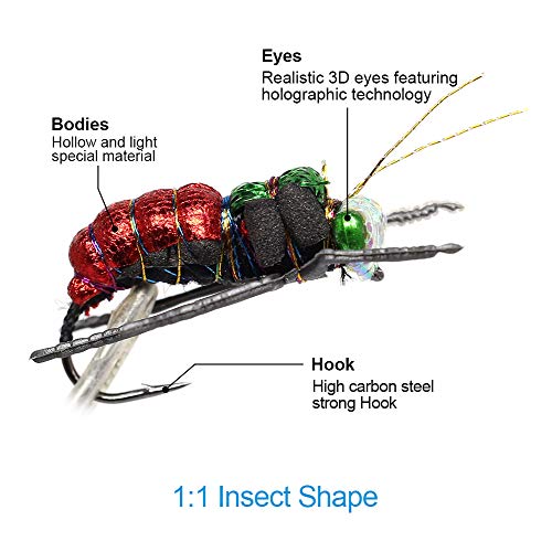 Trout Fly Fishing Flies Collection Dry Wet Nymph Fly Assortment With Fly Box Flyfishing Flys Lures 12/16/18/22/36 Kits (Beetle Kit) #TOP3