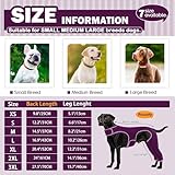 Hjyokuso Hundebody Nach Op mit Bein, Wundschutzanzüge für Hunde, Hinterbeinschutz, Anti-Wundlecken Body, E-Kragen Alternative, Hundeschenkel Schutz Bodysuit