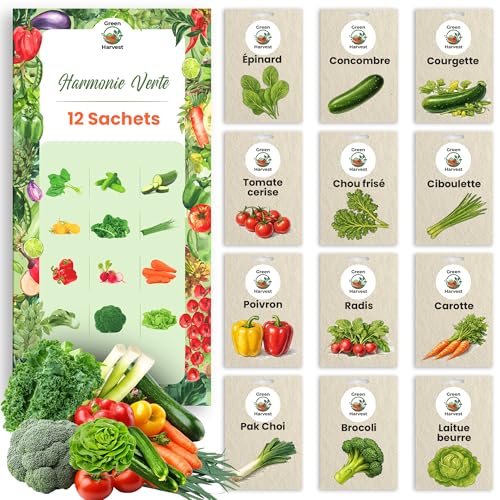 TORAF Kit de Graines de Légumes 12 Variétés – Graine Premium pour Jardin, Balcon et Potager – Tomates, Concombres, Courgettes, Salade, Carottes, Ciboulette – Kit de culture de plantes potagères