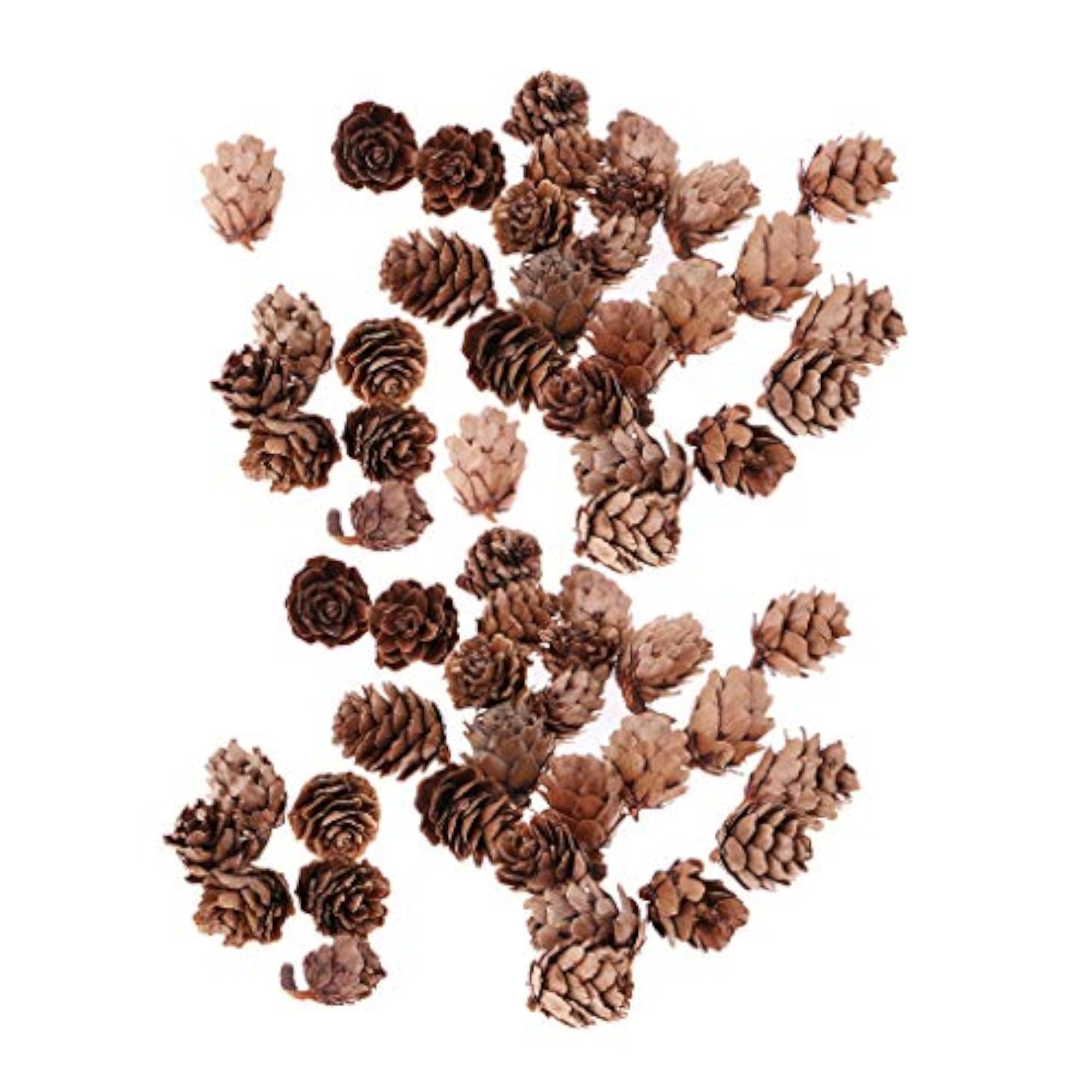 Natural Pine Cones, 60 Pieces for Christmas Decor