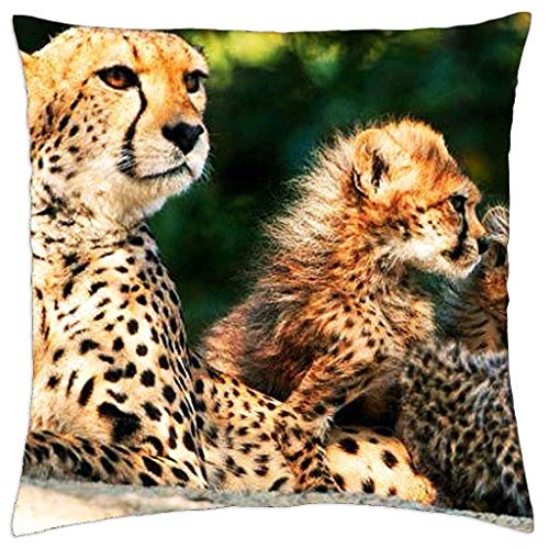 Cheetahs Pillow Case Il Miglior Prezzo Di Amazon In Savemoney Es