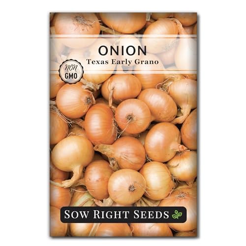 Sow Right Seeds - Texas Early Grano Onion Seeds for Planting - Non-GMO Heirloom Packet with Instructions to Plant a Home Vegetable Garden - Grow Classic Yellow Short Day Onions - Kitchen Staple