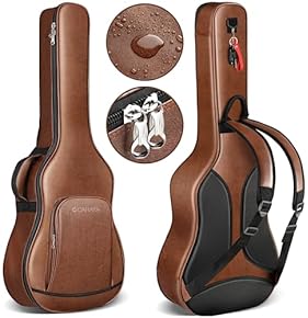 Amazon.co.jp: アコースティックギターケース - ギターアクセサリ