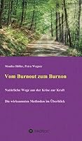 Vom Burnout zum Burnon 3743907542 Book Cover