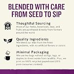 Celestial Seasonings Thé Herbal Wild Berry Zinger, 20 Comptes (Paquet de 6)
