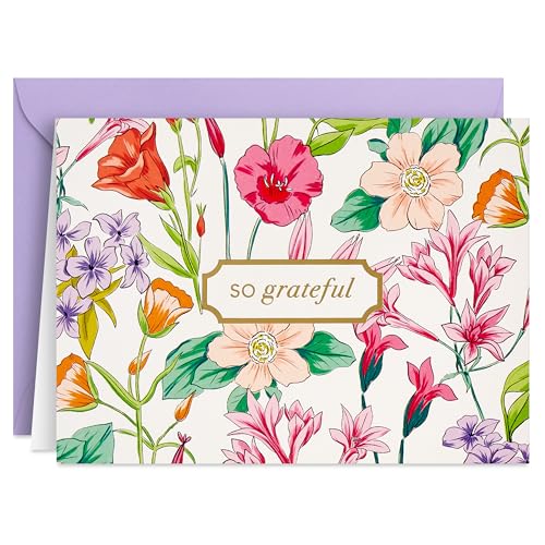 Cartes de remerciement Hallmark So Grateful avec enveloppes pour vos fêtes