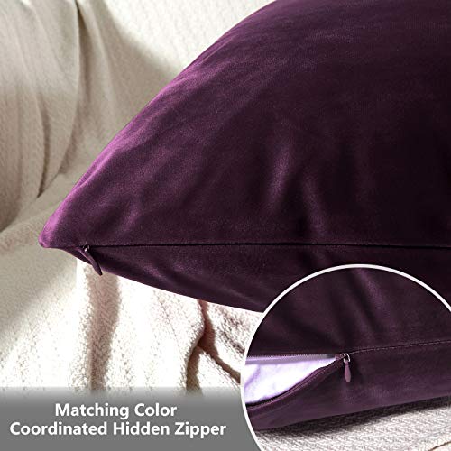JUSPURBET Velvet Pillow Covers,Pack of 2 Decorative Throw Pillow case for Couch Bed Sofa,Soft Cushion Pillowcase,26x26 Inches,Eggplant Purple