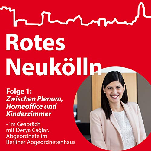 Zwischen Plenum, Homeoffice und Kinderzimmer - im Gespr&auml;ch mit Derya &Ccedil;ağlar, Abgeordnete im Berliner Abgeordnetenhaus