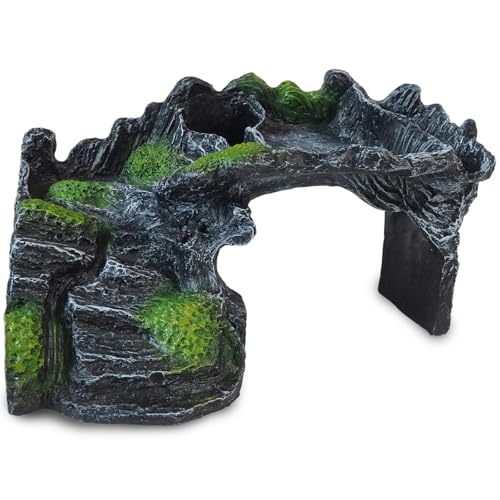 Silver  Style ঒ VF^[ B  eE A Ki IuWF J Ip gJQ (Ki A A, M)