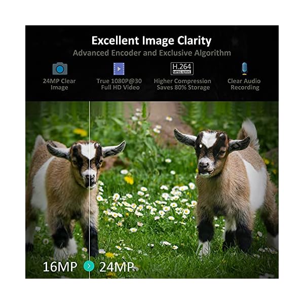 GardePro A3S Wildkamera 64MP 1296P H.264 Video Wildtierkamera mit Klarer 30m No Glow Infrarot, 0.1s Schnelle Trigger Nachtsicht Bewegungsmelder, 120° Erfassungswinkel, IP66 – Bild 5