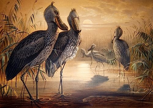 Tableau Toile Cigogne Décoration Murale Peinture Décorative Affiches d'Art 60x90cm