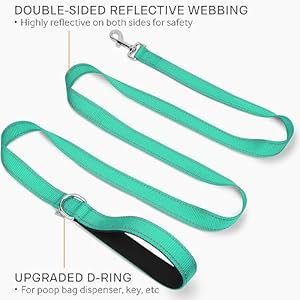 Joytale Double-Sided Reflective Dog Leash, 6 FT/5 FT/4 FT, Padded Handle Nylon Heavy Duty Leashes for Medium & Large Dogs Walking, Teal, 6FT Joytale Double Sided Reflective Dog Leash 6 FT5 FT4 FT Padded Handle Nylon Heavy Duty Leashes for Medium Large Dogs Walking Teal 6FT