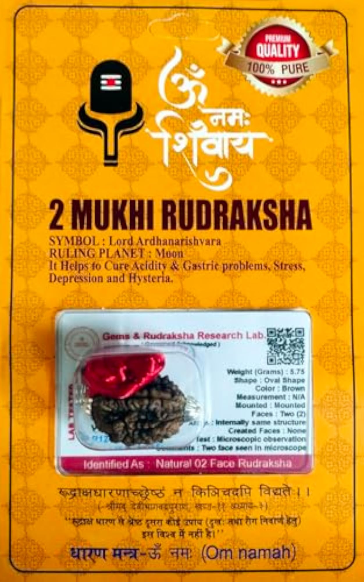 2 Mukhi Nepali Rudraksha Bead with Lab Test Certificate