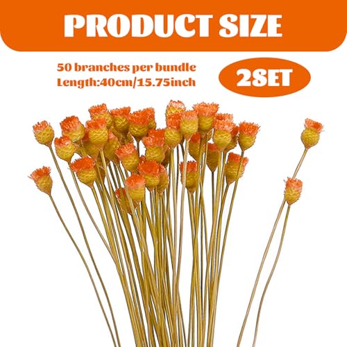 Ramo de flores secas naranja, 2 piezas, 40 cm miniatura 2