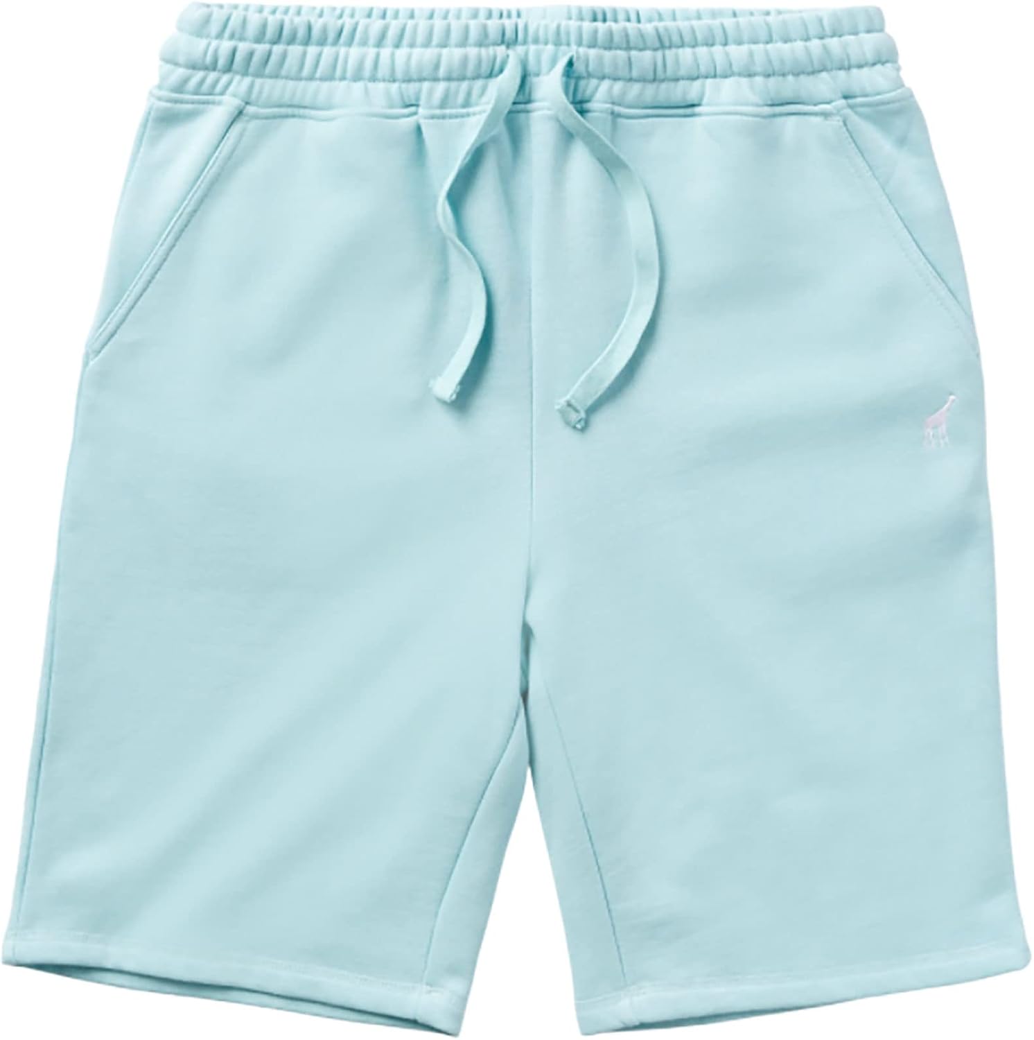 LRG Lifted Research Group Men's Fleece Shorts
