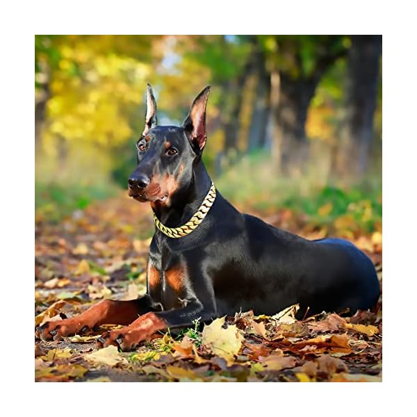 Big Dog Chain Collars - Strong Metal Cuban Link Collar for Large Dogs