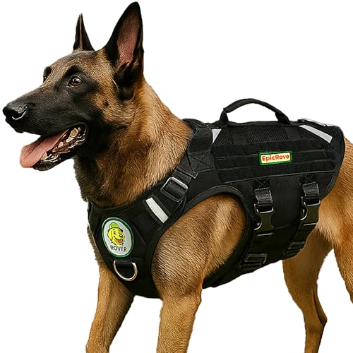 Can i walk my dog in 25 degrees