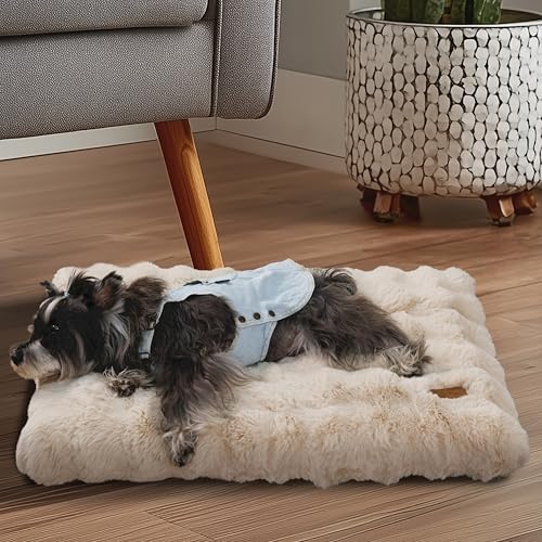 BingoPaw Hundebett Grosse Hunde waschbar: 90x60x10 cm Hundekissen flauschig Plüsch Hundematte für große mittelgroße Hunde, Hundematratze wasserdicht abnehmbar rutschfest, Beige, L