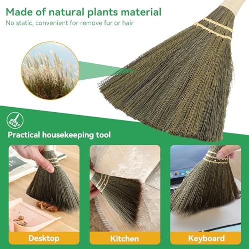 Reisstrohbesen, Klein Strohbesen Strohfeger Besen Feger, Mini Strohbesen Reisigbesen, Mini Stroh Besen Kleinen Besen Feger Handbesen Autobesen Besen Handgemacht Für Wohnmöbel Auto