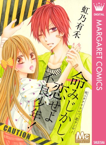 『命みじかし、恋せよ不良少年!』