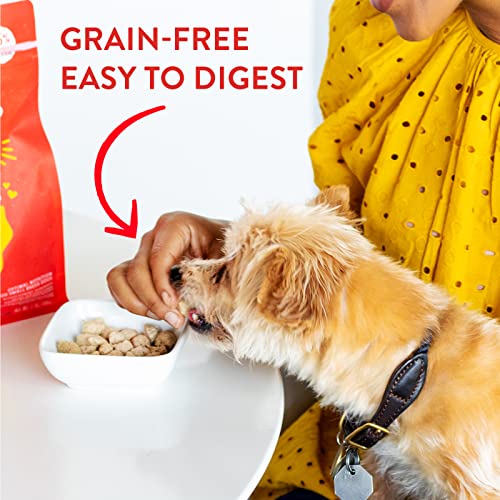 Stella & Chewy's Freeze-Dried Raw Lil' Bites Chicken Little Recipe Small Breed Dog Food, 7 oz. Bag (Pack of 2) - image 6