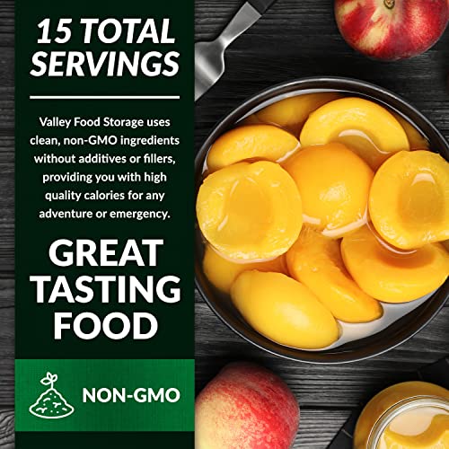 Image of Valley Food Storage Freeze Dried Peach Slices | 10-Bag Bucket, 21 oz | Non-GMO Premium Emergency Food Supply, 25 Year Shelf Life | Prepper Supplies, Survival Food, Off-Grid Living | Packaged in USA
