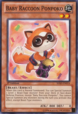 yugioh raccoon cards Amazon.com: YU-GI-OH! - Baby Raccoon Ponpoko (SHSP-EN014) - Shadow Specters  - 1st Edition