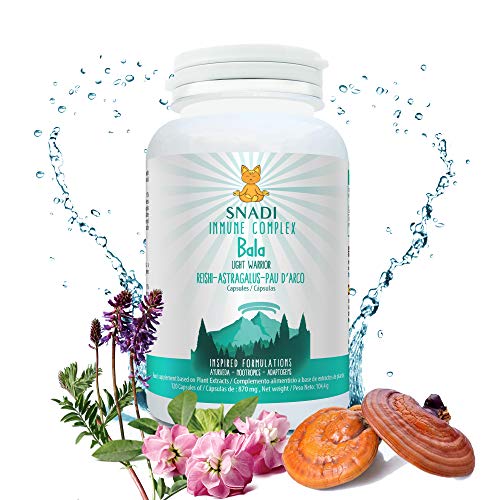 Cápsulas vegetales BALA de Reishi, Astragalo y Pau d’Arco I 120 capsulas - 600 mg I Estimula el sistema inmune, las defensas y proporciona fuerza y energía.