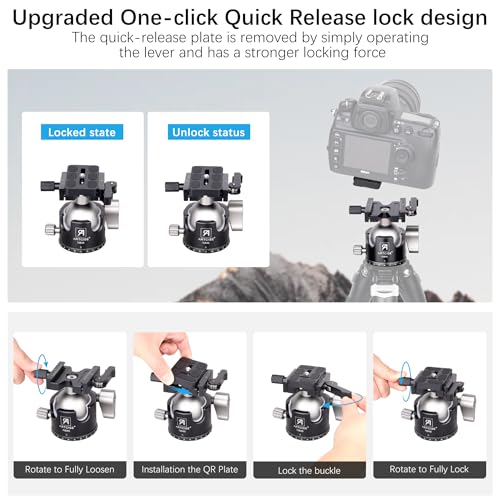 Heavy Duty Low Profile 46mm Tripod Ball Head with Lever Release for Camera - Max Load 55lbs
| ARTCISE 46mm Low Profile Tripod Ball Head with Lever Release - For Heavy Duty Camera Mounting
| 46mm Low Profile Tripod Ball Head with Lever Release for Ca